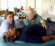 Discipline and Conference Developer