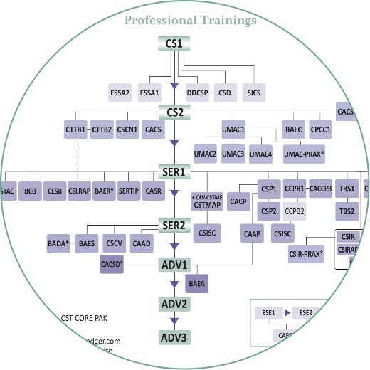 CranioSacral Therapy Curriculum Flowchart