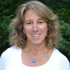 Lori Chinitz PT, CST-D