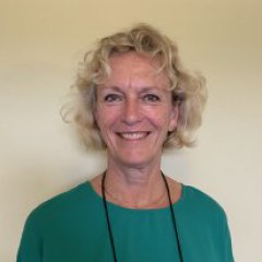 Monique Volkering, PT, CST-D